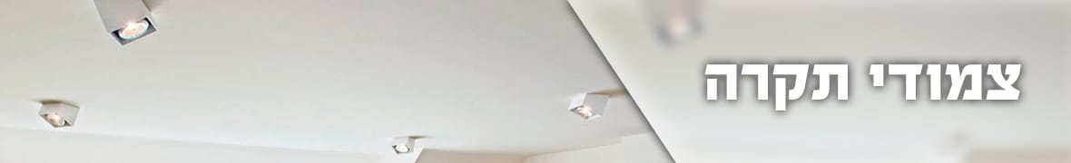 מנורות תקרה, צמודי תקרה
