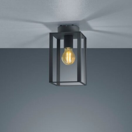 HELESTRA - SKIP CEILING
