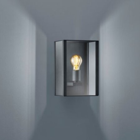HELESTRA - SKIP WALL
