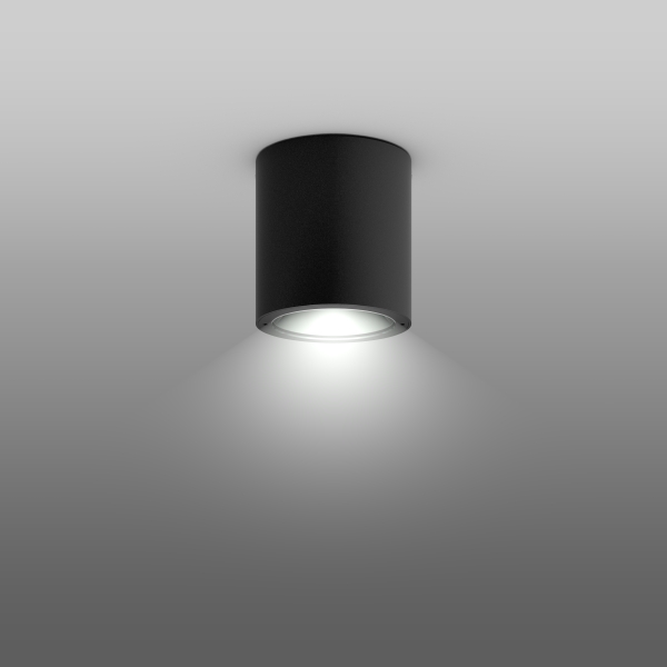 RZB – Home 110